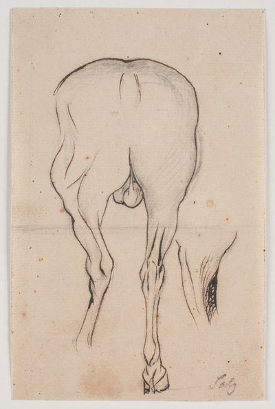 Cavallo visto da dietro e una gamba di cavallo da Jacques Francois Joseph Saly