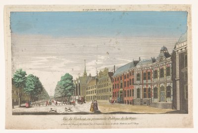 Veduta del Lange Voorhout a L