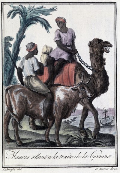 Mori che vanno al Trattato della Gomma da Jacques Grasset de Saint Sauveur