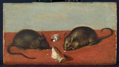 Topi, 1600 circa (olio su legno di quercia) da Jacques II de Gheyn