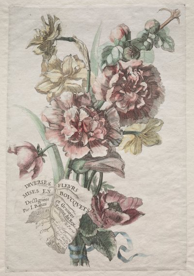 Diversi fiori messi in mazzi: No. 1 - Malvarosa e Narciso, c. 1670 da Jacques I Bailly