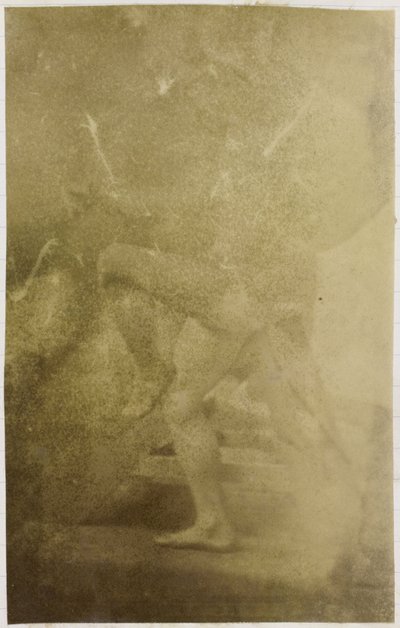 Studio di un modello maschile nudo, nell