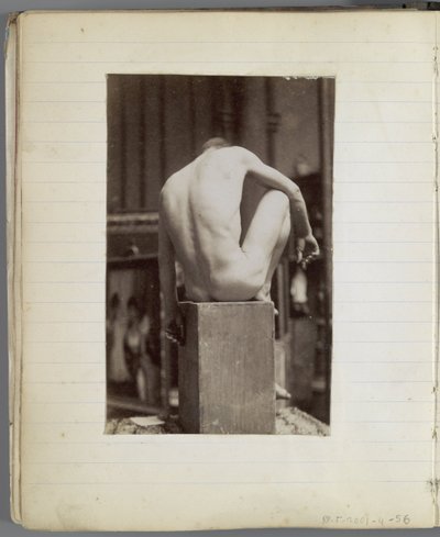 Studio di un modello maschile nudo, seduto e visto di schiena, nell