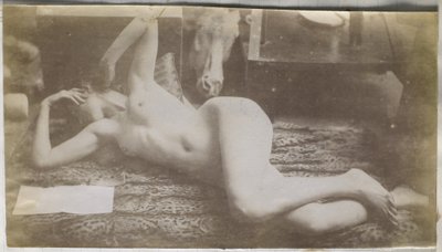 Studio di un modello femminile nudo, sdraiato su una pelle di tigre, nell