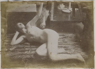Studio di un modello femminile nudo, sdraiato su una pelle di tigre, nell