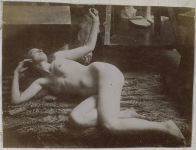 Studio di un modello femminile nudo, sdraiato su una pelle di tigre, nell