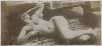 Studio di un modello femminile nudo, sdraiato su una pelle di tigre, nello studio di Jacques de Lalaing da Jacques Lalaing (attributed to)