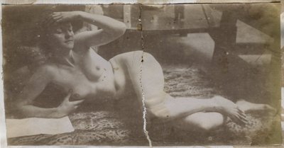 Studio di un modello femminile nudo, sdraiato su una pelle di tigre, nell