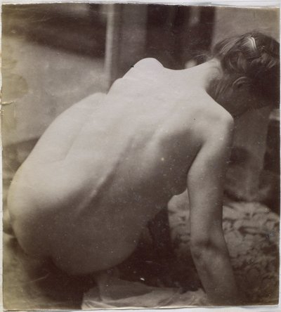 Studio di un modello femminile nudo, visto di schiena, nell