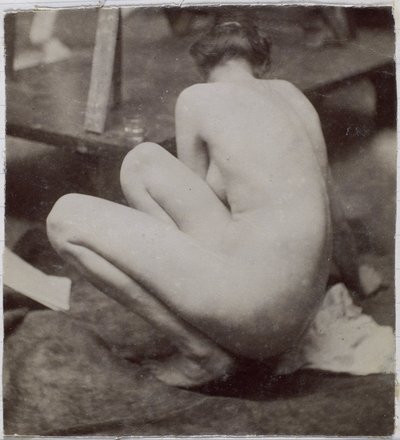 Studio di un modello femminile nudo, visto di schiena, nell