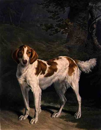 Dash, inciso da Charles Turner, pub. da R. Ackermann Jnr. da Jacques Laurent (after) Agasse