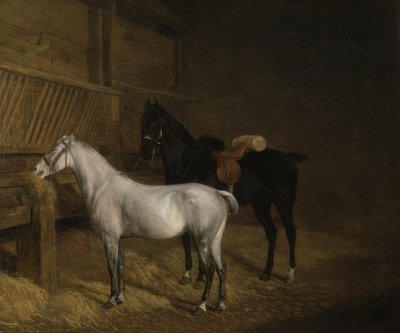 Un Pony Grigio e un Cavallo Nero in una Stalla da Jacques Laurent Agasse