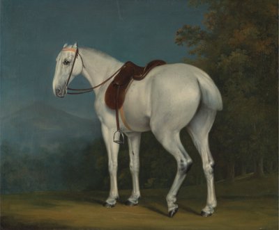 Il Cacciatore Grigio di una Signora da Jacques Laurent Agasse