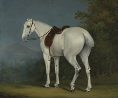 Cavallo Grigio di una Signora, c.1806 da Jacques Laurent Agasse