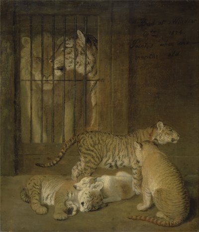 Gruppo di Cuccioli Nati tra un Leone e una Tigre da Jacques Laurent Agasse