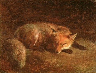 Volpe che dorme da Jacques Laurent Agasse