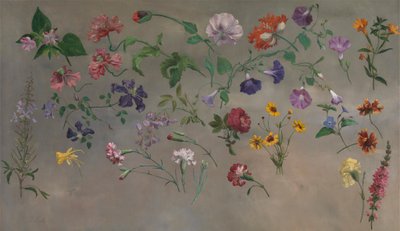 Studi di fiori [1985, Cormack, YCBA Concise Catalogue] da Jacques Laurent Agasse