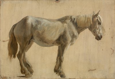 Studio di un Cavallo Grigio da Jacques Laurent Agasse