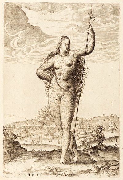 Una giovane donna pitta, c1585 da Jacques Le Moyne