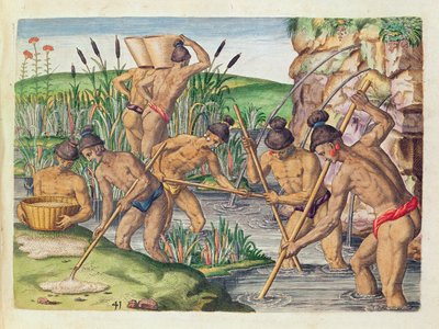 Come gli indiani raccolgono l