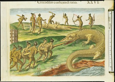 Caccia ai Coccodrilli, da 