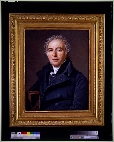 Ritratto di D.V. Ramel de Nogaret da Jacques Louis David