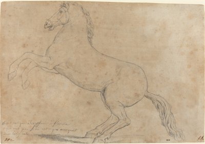 Una scultura antica di un cavallo da Jacques Louis David