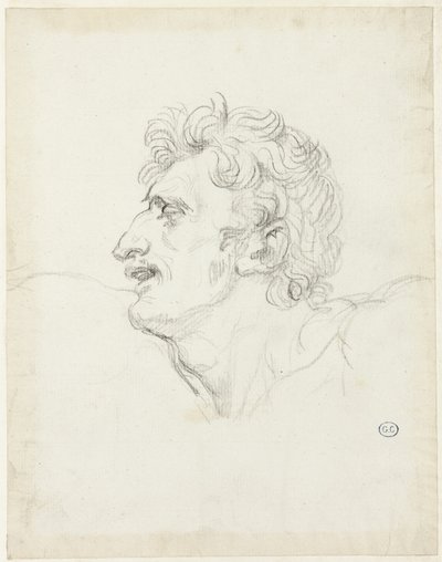 Testa di un uomo, profilo sinistro da Jacques Louis David