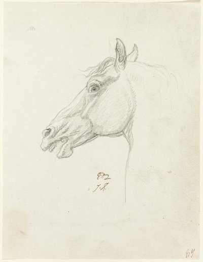 Testa di cavallo da Jacques Louis David