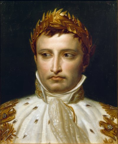 Napoleone I in abito da incoronazione da Jacques Louis David