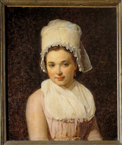 Ritratto di Catherine Marie Tallard (1772-1825), moglie di Francois Lamy, sindaco di Sougeres nello Yonne da Jacques Louis David