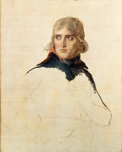 Ritratto del Generale Napoleone Bonaparte da Jacques Louis David