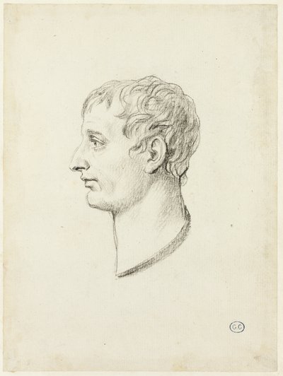 Profilo di Napoleone da Jacques Louis David
