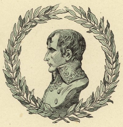 Busto di Napoleone Bonaparte da Jacques Marie Gaston Onfray de Breville (Job)