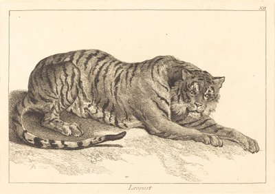 Leopardo o Tigre da Jacques Philippe Le Bas and Jean Eric Rehn after Jean Baptiste Oudry