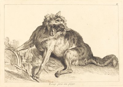 Lupo preso in trappola da Jacques Philippe Le Bas and Jean Eric Rehn after Jean Baptiste Oudry