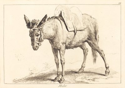 Mulo (Mulo o asino sellato) da Jacques Philippe Le Bas and Jean Eric Rehn after Jean Baptiste Oudry
