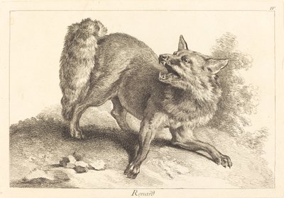 Volpe da Jacques Philippe Le Bas and Jean Eric Rehn after Jean Baptiste Oudry