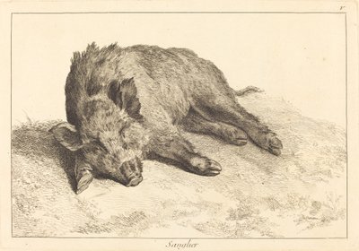 Cinghiale sdraiato, testa a sinistra da Jacques Philippe Le Bas and Jean Eric Rehn after Jean Baptiste Oudry