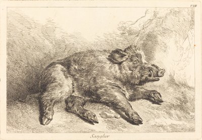 Cinghiale (Cinghiale sdraiato, testa a destra) da Jacques Philippe Le Bas and Jean Eric Rehn after Jean Baptiste Oudry