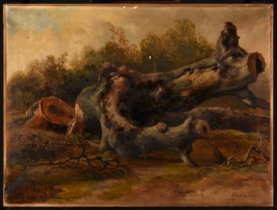 Albero tagliato da Jacques Raymond Brascassat