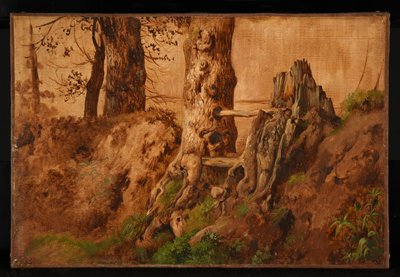 Alberi e rocce da Jacques Raymond Brascassat