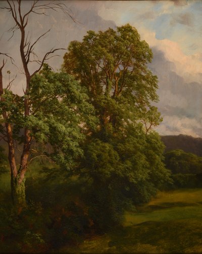 Le Chênes da Jacques Raymond Brascassat