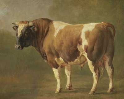 Studio di un toro da Jacques Raymond Brascassat