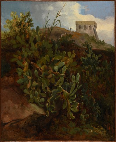 Torre e cactus da Jacques Raymond Brascassat