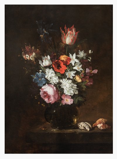 Una rosa, tulipano, iris, papaveri, caprifoglio e altri fiori in un vaso di vetro con conchiglie su un ripiano da Jacques de Claeuw