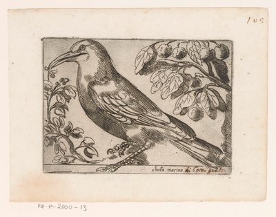 Uccello da Jacques de Fornazeris (possibly)
