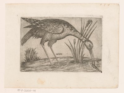 Uccello (serie Uccelli) da Jacques de Fornazeris (possibly)