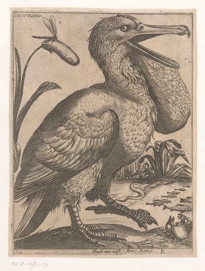Uccello acquatico da Jacques de Fornazeris