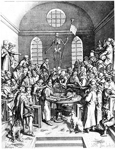 Teatro anatomico del tardo XVI secolo, Jacques de Gehyn il Vecchio da Jacques de Gehyn the Elder